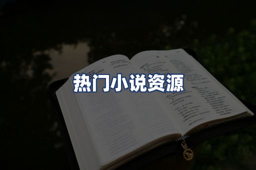 热门小说资源
